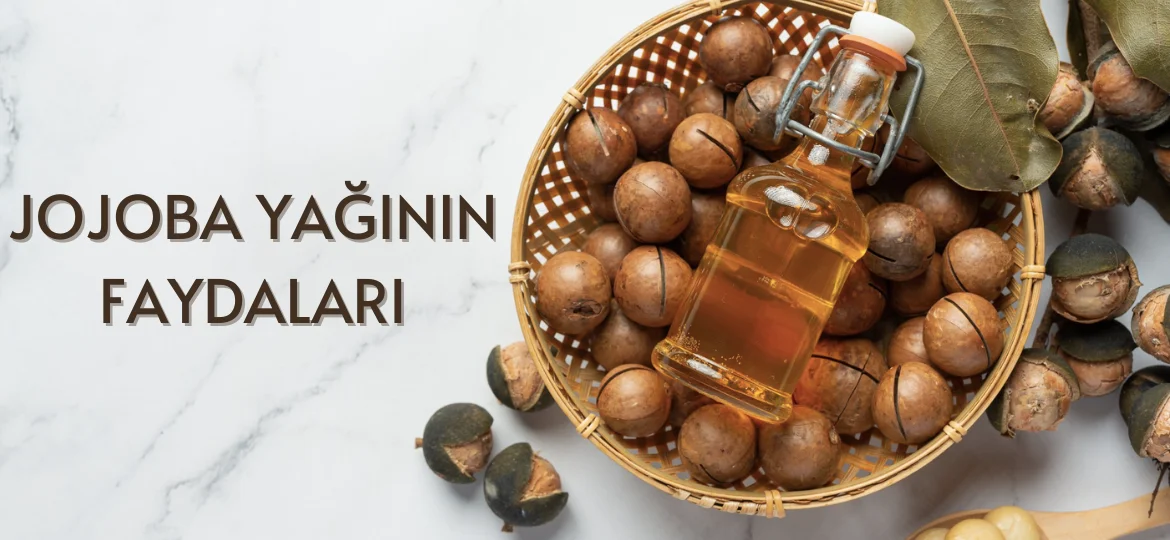 Jojoba Yağı Nedir? Jajoba Yağının Cilt Bakımında Faydaları Nelerdir?