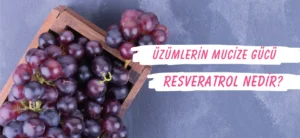 Cilt Bakımında Resveratrol Nedir? Ne İşe Yarar?